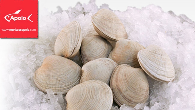 Apollo 2 frozen clams