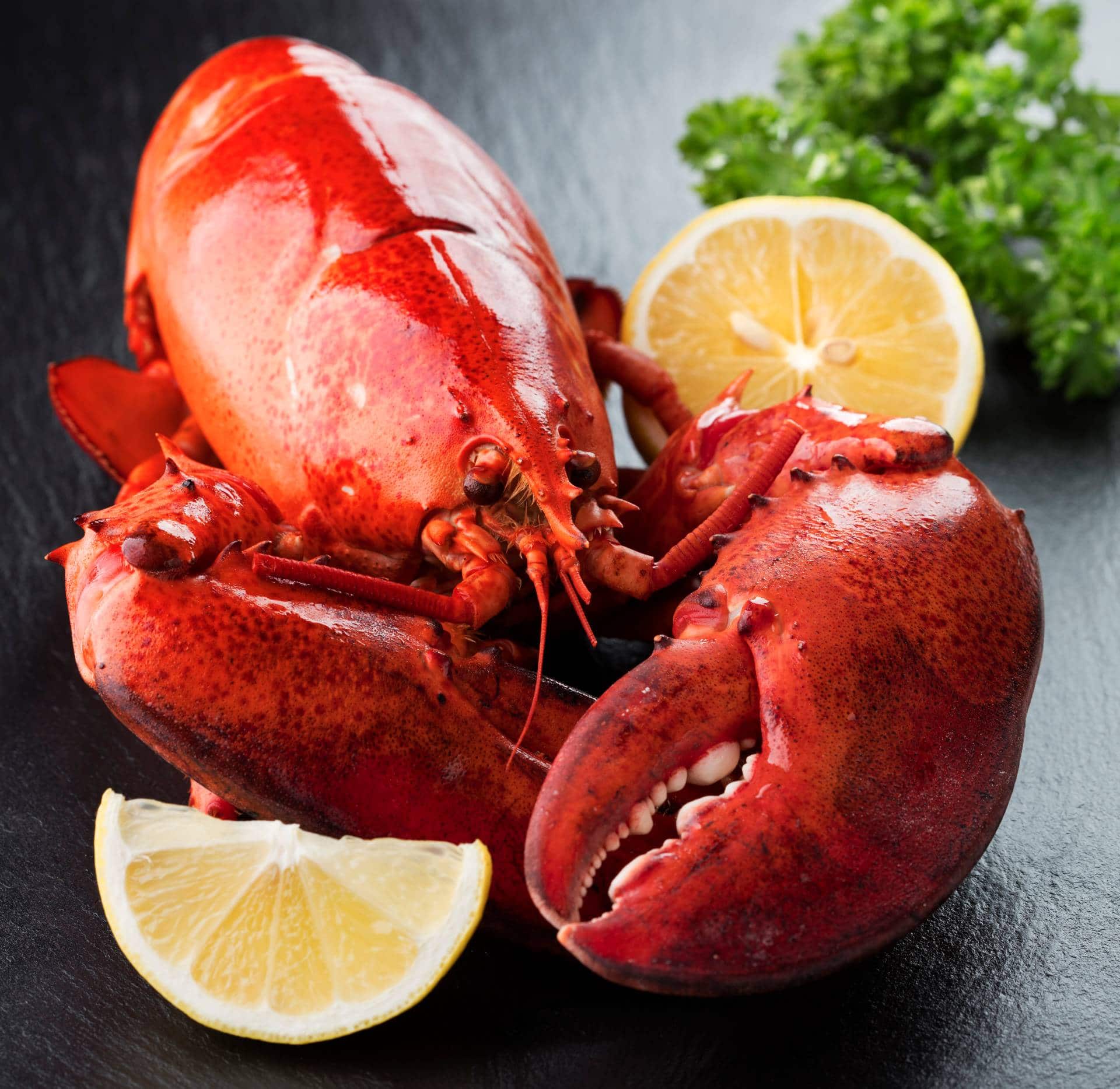 Difference between lobster and lobster - Seafood differences