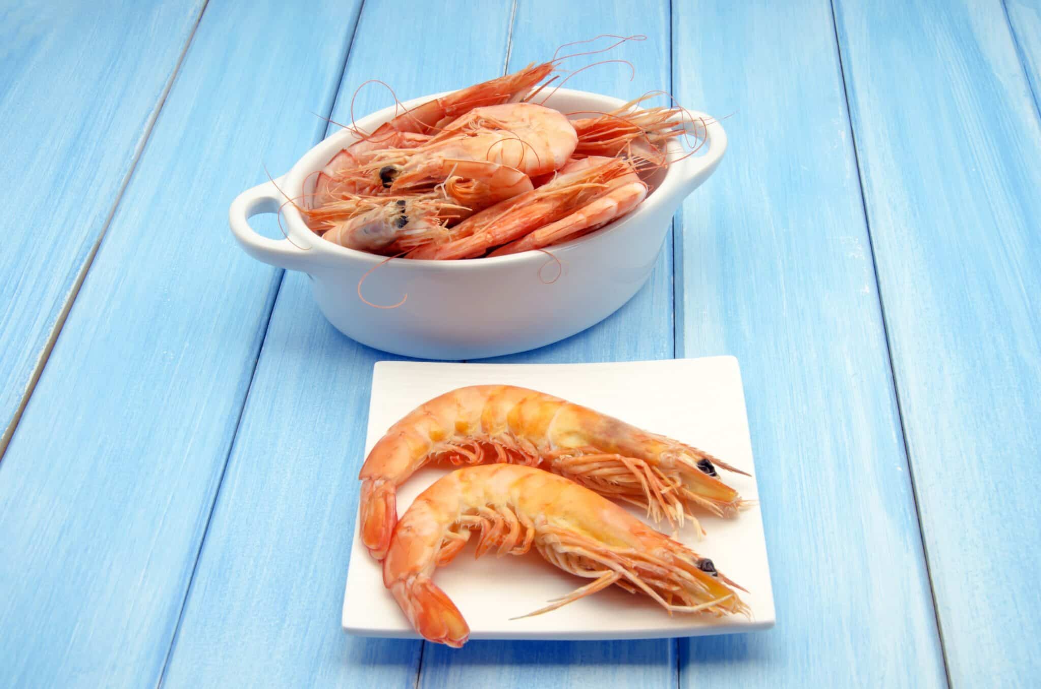 Difference between shrimp and prawn Congelados Apolo