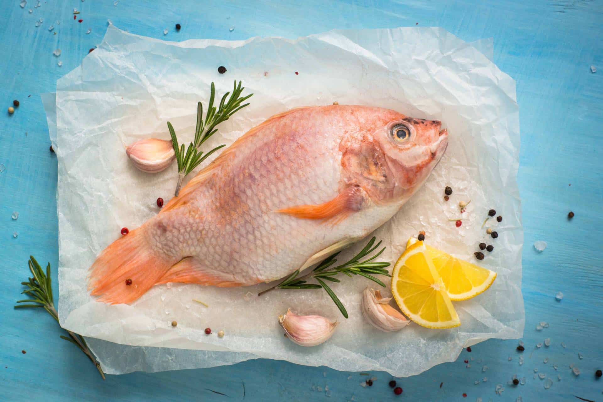 Fish and seafood from A to Z: Tilapia - Fish and health