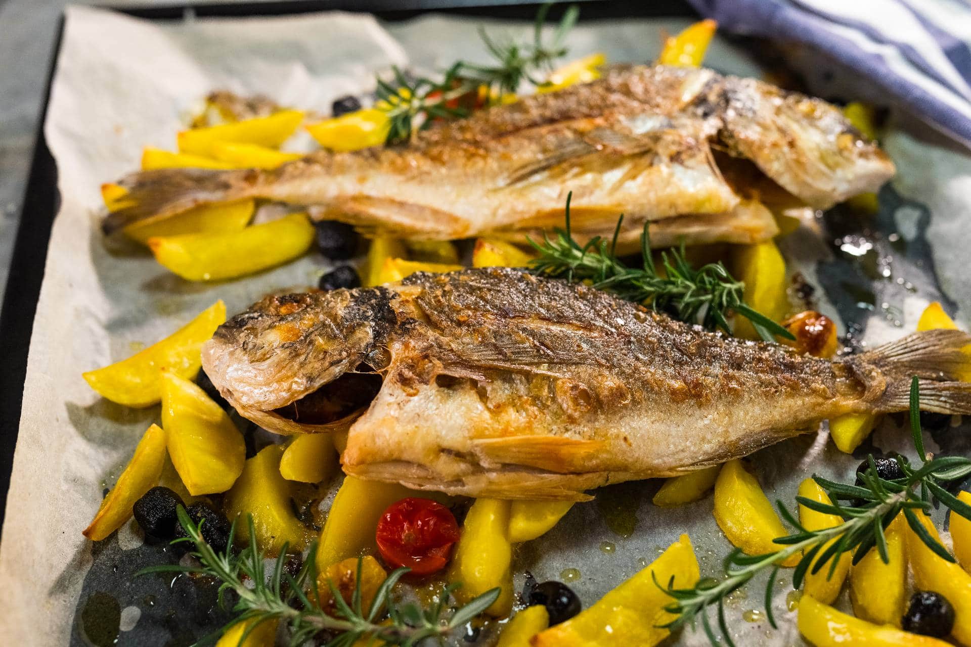 Fish from A to Z: Sea bream - Frozen fish and seafood