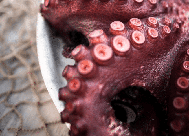 Octopus Cooking Time