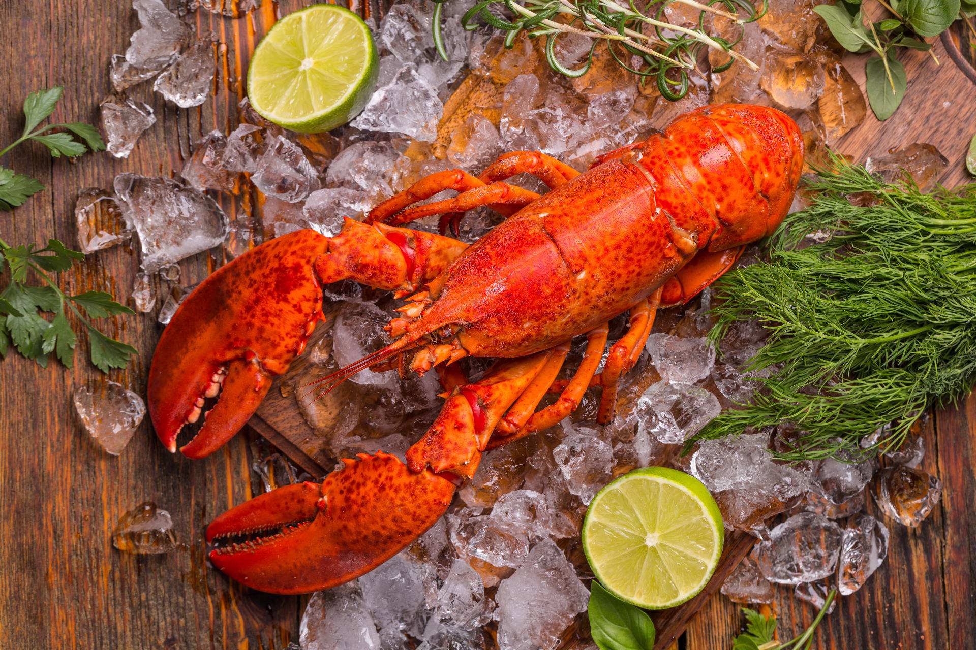 Fish and seafood from A to Z: The lobster