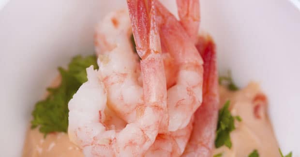 buy cooked pink shrimp