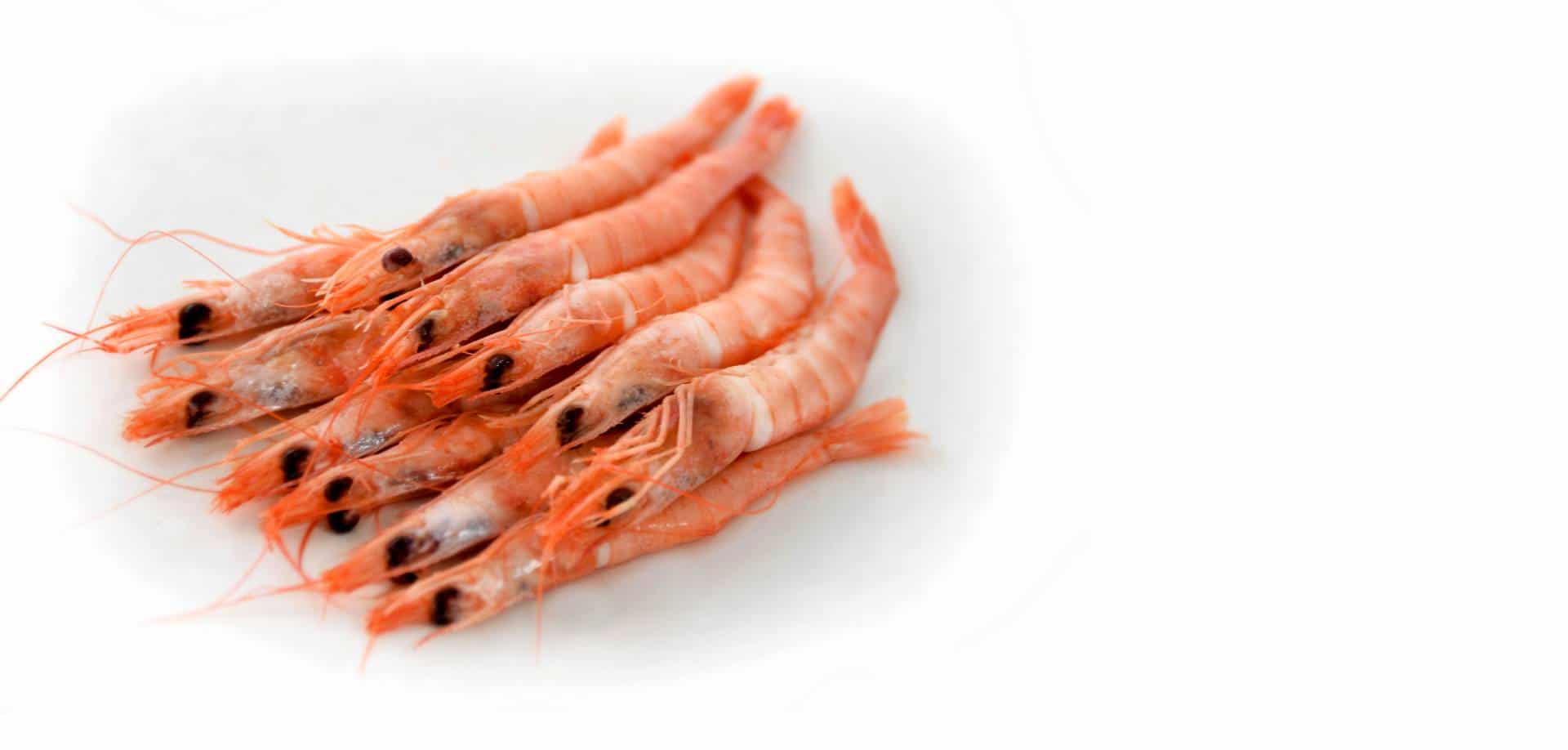 Frozen cooked white shrimp seafood guide