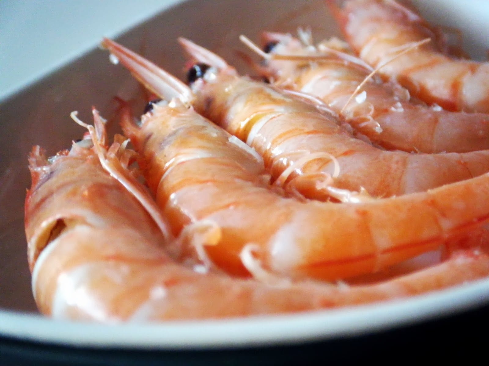 buy white shrimp